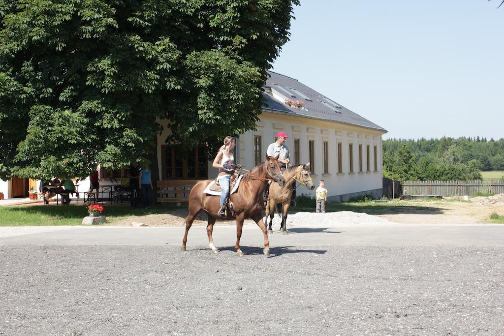 Bily Beranek 호텔 Hladov 외부 사진